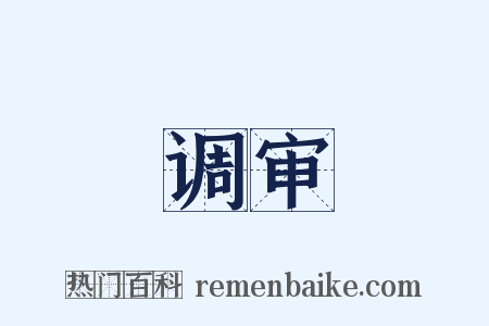 调审是什么意思的图片